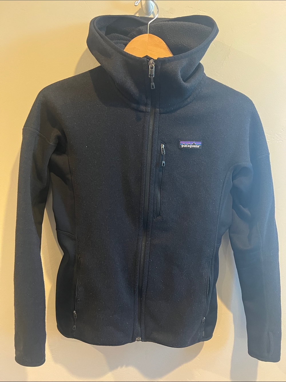 Patagonia Black Full-Zip Hooded Fleece Jacket Better Sweater